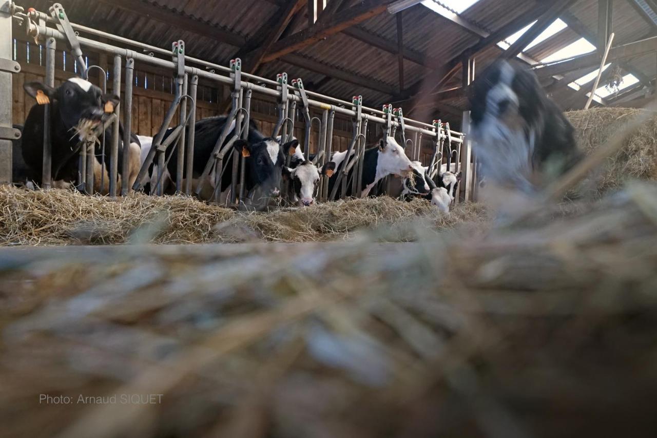 Ferme St Martin Manhay Exterior foto